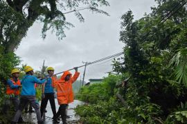 PLN UIW NTB menuntaskan pemulihan kelistrikan pascacuaca ekstrem di Lombok