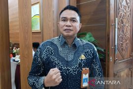 Bandara Haji Asan Sampit siagakan lima area parkir jelang Lebaran