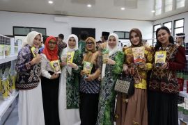 Ketua DPRD apresiasi peresmian Galeri Dekranasda Balangan