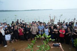 Indonesia seeks stronger youth role in mangrove rehabilitation