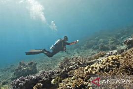 Pemprov Maluku kampanyekan perlindungan kawasan konservasi di MBD