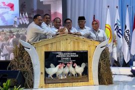 ID FOOD perkuat ketahanan pangan lewat hilirisasi ayam terintegrasi