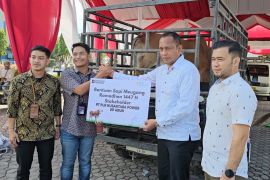 Sapi sumbangan Meugang diperuntukan bagi penyintas banjir Lhokseumawe