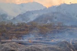 BPBD Sulteng buka opsi pemadaman karhutla dengan&nbsp;"water bombing"