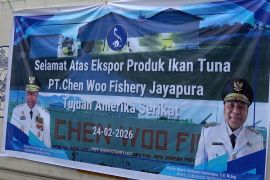 Papua ekspor 17,8 ton ikan tuna olahan ke Amerika Serikat