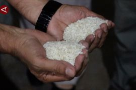 Strategi Perum Bulog perkuat cadangan pangan di Kalbar