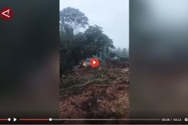 Curah hujan tinggi, jalan trans papua Jayapura-Wamena putus - VIDEO