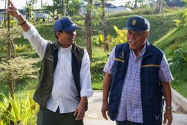 Aneka satwa muncul di hutan IKN hasil rehabilitasi