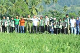 Bupati-Sigi: Produktivitas pertanian jaga stabilitas ekonomi daerah