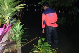 BPBD asesmen dampak banjir di Pakis Malang