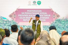 Perhutanan sosial di IKN perkuat akses kelola hutan masyarakat