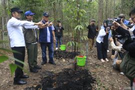 KTH Kaltim terima surat keputusan 883 hektar lahan hutan