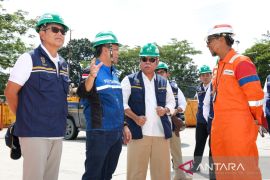 Otorita berupaya hadirkan ekosistem energi di IKN