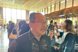 Pemprov Bali pastikan akses wifi tetap normal saat Nyepi