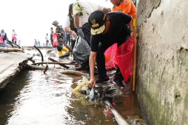 Sebanyak 27 ribu orang serentak kumpulkan sampah pantai se-Bali