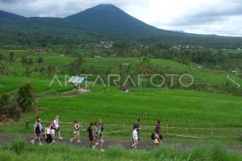 Penataan pembangunan lima sektor pariwisata di Bali