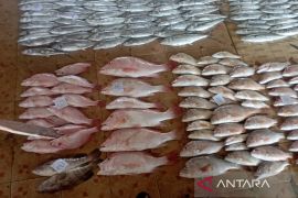 Indramayu sumbang 33,99 persen produksi ikan di Jabar