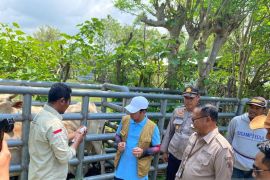 Vaksinasi PMK di Dompu capai 100 persen