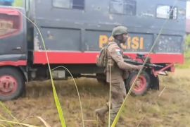 Operasi Damai Cartenz ungkap peran KKB Meno Kogoya di Yahukimo