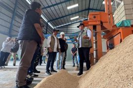 Dirut Bulog dorong inovasi pemanfaatan sekam padi bernilai ekonomis