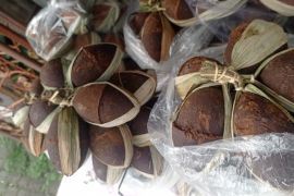 Ramadhan, omzet pedagang gula aren di Lebak naik dua kali lipat