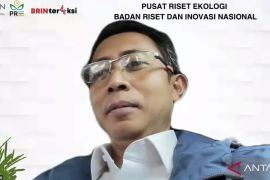 BRIN: Ekosistem padang lamun terancam akibat reklamasi dan pencemaran
