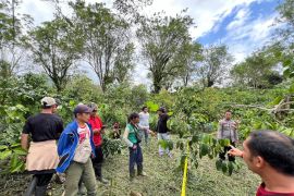 Polisi tangkap pelaku pembunuh seorang pria di Lampung Barat