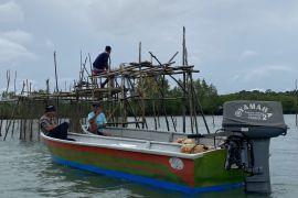 OJK Kepri perluas akses modal UMKM Perikanan