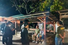 Pelaku perdagangan tapir di  Nagari Pintu Padang ditangkap