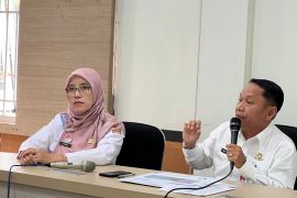 Festival Mudik Balon Udara 2026 di Wonosobo siap digelar di 23 lokasi pada 22-29 Maret