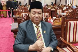 DPRD minta Pemprov Kalteng perkuat sinergi cegah kekerasan terhadap anak