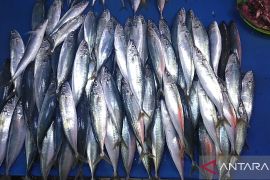 Inflasi sekitar IKN melonjak, catatan BI