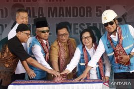 Warga desa di Kubu Raya nikmati pembangkit listrik tenaga biomassa