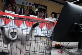 Polisi tangkap seorang pelaku perdagangan satwa dilindungi di Sidoarjo