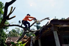 Dampak angin kencang di Blitar