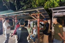 Tim Gabungan kembali tangkap jaringan perdagangan tapir di Pasaman