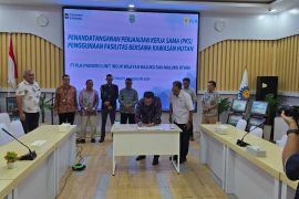 PLN dan PBPH percepat pembangunan jaringan listrik desa