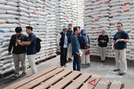 BRIN-Bulog jaga stabilitas pangan lewat pemanfaatan teknologi iradiasi