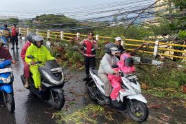 Update Jalur Soekarno-Hatta Bandung: Sempat Tertutup Pohon Tumbang Arah Cibiru, Kini Berangsur Normal