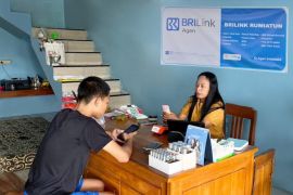 Dedikasi Rumiatun, BRILink Agen di Grobogan yang Sigap Melayani Warga Desa di Garis Depan