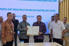 PLN UIW MMU-PBPH sinergi percepatan pembangunan jaringan listrik desa di Maluku Utara
