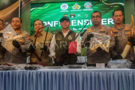 Foto: Ungkap kasus sindikat perburuan Gajah Sumatera