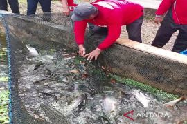 Peluang usaha perikanan di Kotim sangat menjanjikan