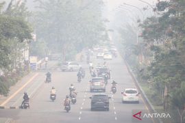 BNPB ingatkan potensi karhutla mulai muncul