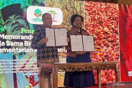 Kemenhut dan ICRAF perkuat kerja sama bidang agroforestri Indonesia