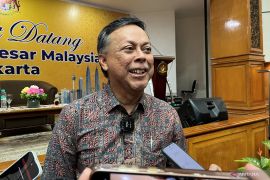 D-8 berpeluang jadi pasar alternatif di tengah kegamangan ekonomi