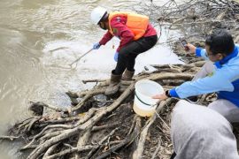 Kalsel kemarin dari ekonomi desa hingga pencemaran sungai