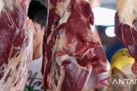 Harga daging sapi di Purwakarta terpantau cukup tinggi