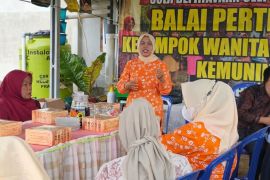 KWT Kemuning Prabumulih ubah lahan tidur jadi sumber pangan mandiri