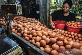 Telur hingga cabai rawit picu kenaikan harga pangan jelang Lebaran